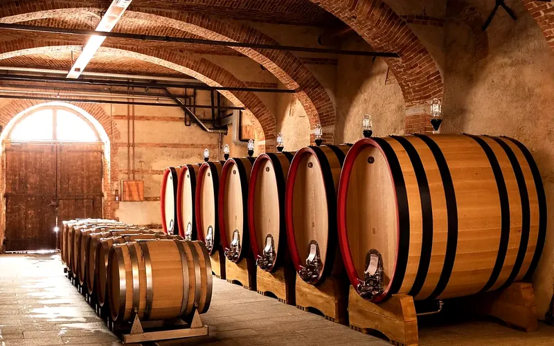 Cantina storica delle Langhe — botti grandi di Barolo