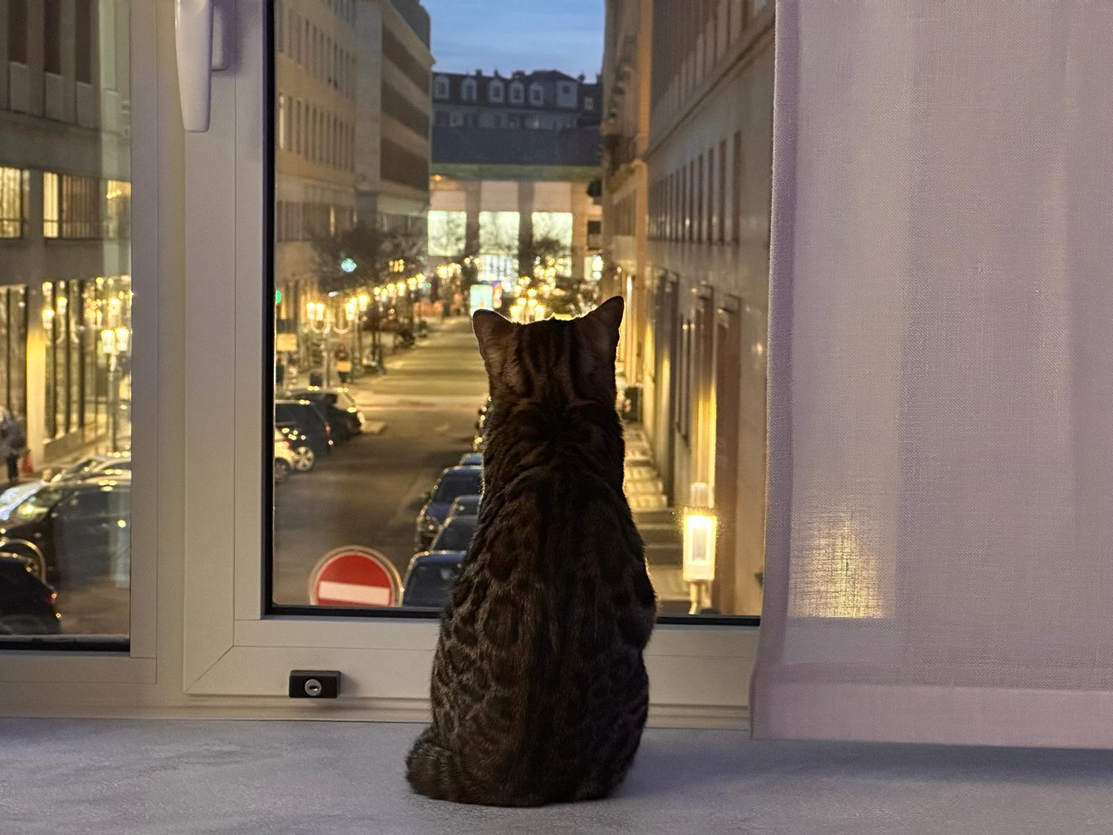 Urban Murble Suite - vista tetti